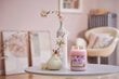 Lõhnaküünal kirsiõitega Yankee Candle Cherry Blossom 623 g hind ja info | Küünlad, küünlajalad | kaup24.ee