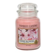 Ароматическая свеча с цветущей вишней Yankee Candle Cherry Blossom, 623 г цена и информация | Подсвечники, свечи | kaup24.ee