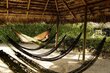 Võrkkiik Amazonas Adventure, roheline/pruun hind ja info | Võrkkiiged | kaup24.ee