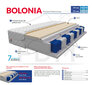 Vedrumadrats Bolonia Pocket 160x200 cm hind ja info | Madratsid | kaup24.ee