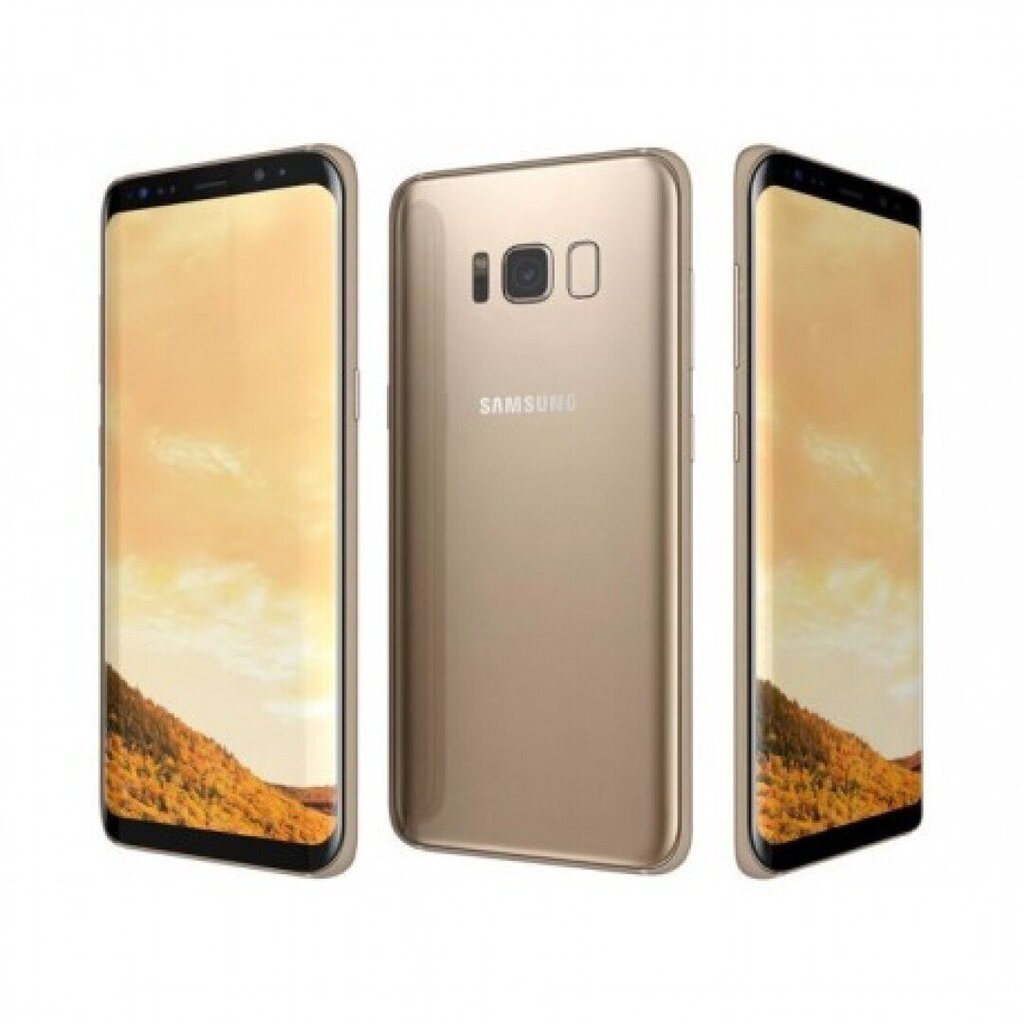 Samsung Galaxy S8 (G950F) 64GB, Kuldne hind ja info | Telefonid | kaup24.ee