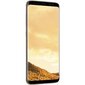 Samsung Galaxy S8 (G950F) 64GB, Kuldne цена и информация | Telefonid | kaup24.ee