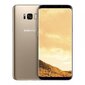 Samsung Galaxy S8 (G950F) 64GB, Kuldne hind ja info | Telefonid | kaup24.ee