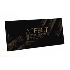 Kulmuvärvipalett Affect Collection 2 10 x 2 g hind ja info | Kulmuvärvid, -pliiatsid | kaup24.ee