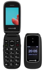 Evelatus WAVE 2020, Dual SIM, Graphite Black hind ja info | Telefonid | kaup24.ee