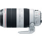 Canon EF 100-400mm f/4.5-5.6L IS II USM цена и информация | Objektiivid | kaup24.ee