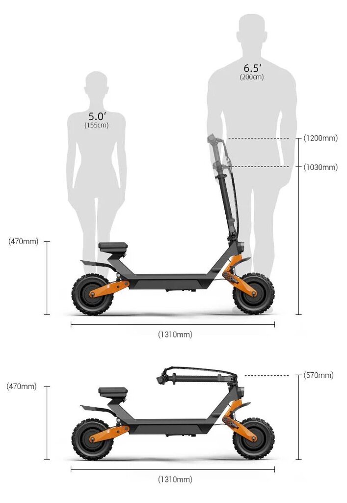 Elektriline roller Fiido Beast, 11", must hind ja info | Elektritõukerattad | kaup24.ee