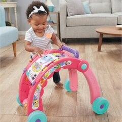 Interaktiivne jalutuskäru Little Tikes L-643095X1PO цена и информация | Игрушки для малышей | kaup24.ee