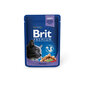Konserv kassidele kotis Brit Premium Cod Fish 100g x 24 tk цена и информация | Konservid kassidele | kaup24.ee