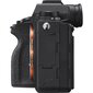 Täiskaader hübriidkaamera Sony A9 II body (Black)(ILCE-9M2) hind ja info | Fotoaparaadid | kaup24.ee