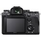 Täiskaader hübriidkaamera Sony A9 II body (Black)(ILCE-9M2) hind ja info | Fotoaparaadid | kaup24.ee