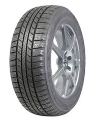 Maxxis AP3 175/65R15 88 H XL цена и информация | Всесезонная резина | kaup24.ee