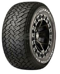 Maxxis AP3 215/45R17 91 W XL цена и информация | Всесезонная резина | kaup24.ee