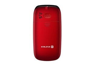 Evelatus WAVE 2020, Dual SIM, Maroon Red цена и информация | Мобильные телефоны | kaup24.ee