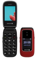 Evelatus Wave 2020 Dual SIM Maroon Red цена и информация | Мобильные телефоны | kaup24.ee