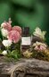 Parfüümvesi Clean Reserve Nude Santal & Heliotrope EDP naistele/meestele 100 ml hind ja info | Naiste parfüümid | kaup24.ee