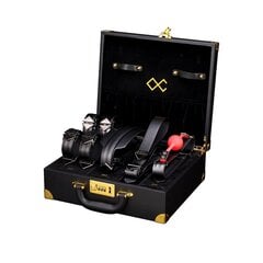 BDSM набор секс-игрушек Lockink Moonlight Treasure Chest Set, черный цена и информация | БДСМ и фетиш | kaup24.ee