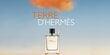 Tualettvesi Hermes Terre D'hermes EDT meestele 30 ml hind ja info | Meeste parfüümid | kaup24.ee