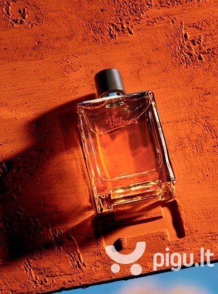 Tualettvesi Hermes Terre D'hermes EDT meestele 30 ml hind ja info | Meeste parfüümid | kaup24.ee