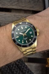 Leijona meeste käekell JÄRWI, 40mm, Shallow Waters, kuldne цена и информация | Мужские часы | kaup24.ee