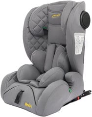 Autotool Summer Baby Molto i-Size Isofix, 9-36 kg, hall hind ja info | Turvatoolid | kaup24.ee