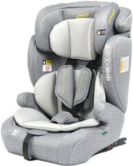 Autotool Summer Baby Porto i-Size Isofix, 9-36 kg, hall hind ja info | Turvatoolid | kaup24.ee