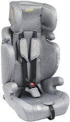 Autotool Summer Baby Porto i-Size Isofix, 9-36 kg, hall hind ja info | Turvatoolid | kaup24.ee