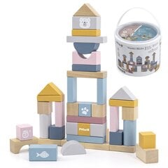 Värvilised puidust klotsid lastele Viga Toys L-44010, 60 tk hind ja info | Arendavad mänguasjad | kaup24.ee