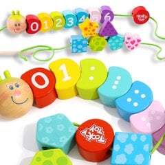 Puidust õpetlikud klotsid lastele Tooky Toys L-TY875 20 tk цена и информация | Развивающие игрушки | kaup24.ee