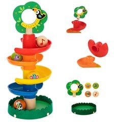 Puidust pallirada loomadega Tooky Toys L-TK735 hind ja info | Arendavad mänguasjad | kaup24.ee