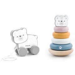 Puidust mänguasjade komplekt Viga Toys L-44227 цена и информация | Игрушки для малышей | kaup24.ee