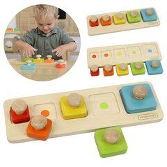 Kujundite ja värvide paigutus montessori Masterkidz L-ME03881 цена и информация | Развивающие игрушки | kaup24.ee