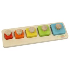 Kujundite ja värvide paigutus montessori Masterkidz L-ME03881 цена и информация | Развивающие игрушки | kaup24.ee