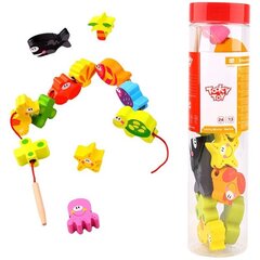 Puidust klotsid lastele Tooky Toy L-TKB511-B 13 tk цена и информация | Развивающие игрушки | kaup24.ee