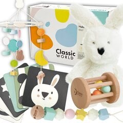 Mängukomplekt väikelastele Classic World L-CW10027 цена и информация | Игрушки для малышей | kaup24.ee