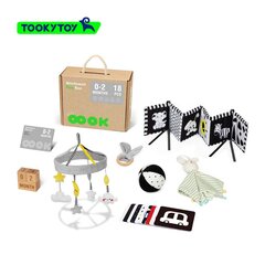 Sensoorne mängukomplekt Tooky Toy L-BCTJ670 цена и информация | Игрушки для малышей | kaup24.ee