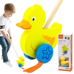 Puidust push-mänguasi lastele Viga Toys L-50961 цена и информация | Игрушки для малышей | kaup24.ee