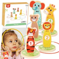 Puidust mäng lastele, rõngaviskamine Tooky Toy L-TF401 цена и информация | Развивающие игрушки | kaup24.ee