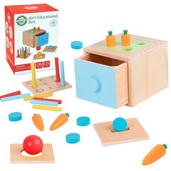 Puidust õppesahtel montessori Woopie L-49638 цена и информация | Развивающие игрушки | kaup24.ee