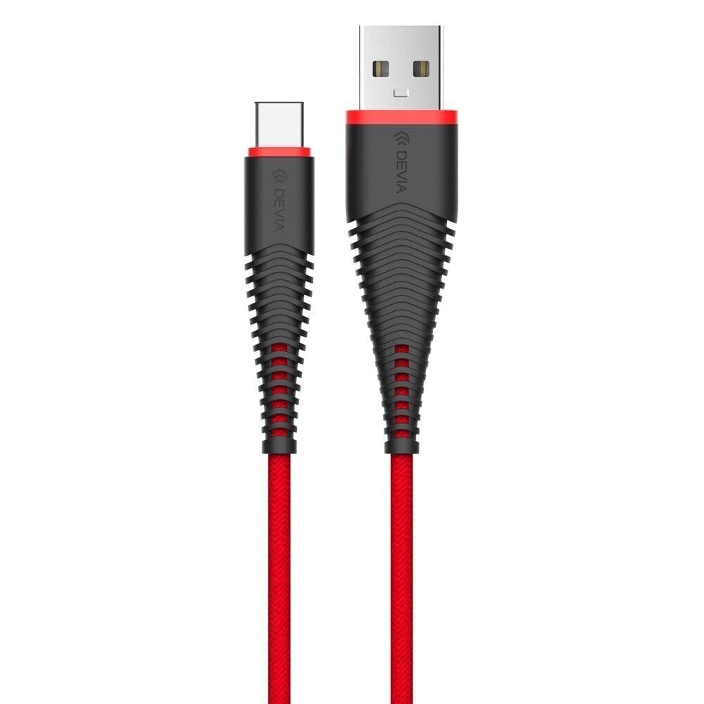 Devia Fish 1 USB-Type C цена и информация | Mobiiltelefonide kaablid | kaup24.ee