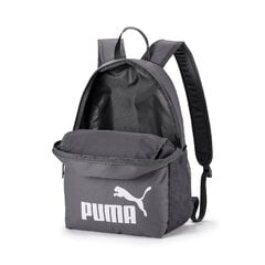 Рюкзак Puma Phase Backpack Castler Grey цена и информация | Рюкзаки и сумки | kaup24.ee