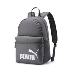 Puma Seljakott Phase Backpack Castler Grey цена и информация | Рюкзаки и сумки | kaup24.ee