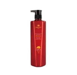 Kahjustatud juuste šampoon argaaniaõliga Argan Active Oxygen Instant Repair Shampoo, 800 ml цена и информация | Шампуни | kaup24.ee