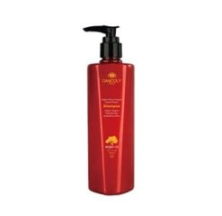 Kahjustatud juuste šampoon argaaniaõliga Angel Argan Active Oxygen Instant Repair Shampoo, 300 ml цена и информация | Шампуни | kaup24.ee