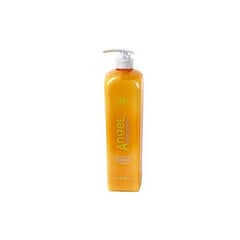 Šampoon värvitud juustele Angel Marine Depth SPA Shampoo Colored Hair, 500 ml цена и информация | Шампуни | kaup24.ee