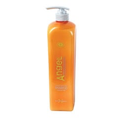 Šampoon värvitud juustele Angel Marine Depth SPA Shampoo Colored Hair, 1000 ml цена и информация | Шампуни | kaup24.ee