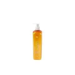 Šampoon kuivadele ja normaalsetele juustele Angel Marine Depth SPA Shampoo Dry Neutral, 100 ml цена и информация | Шампуни | kaup24.ee