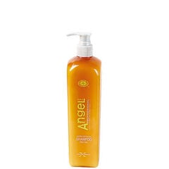 Šampoon rasustele juustele Angel Marine Depth SPA Shampoo Oily Hair, 250 ml цена и информация | Шампуни | kaup24.ee