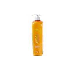 Šampoon kuivadele ja normaalsetele juustele Angel Marine Depth SPA Shampoo Dry Neutral, 500 ml цена и информация | Шампуни | kaup24.ee