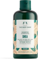 THE BODY SHOP Шампунь Ши 250 мл цена и информация | Шампуни | kaup24.ee